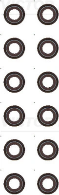 Seal Set, valve stem